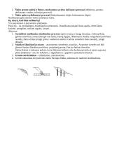 Geologija ir uolienos 18 puslapis