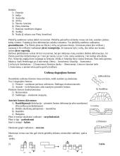 Geologija ir uolienos 3 puslapis