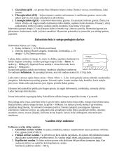 Geologija ir uolienos 6 puslapis