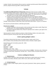 Geologija ir uolienos 10 puslapis