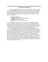 Graikų literatūros kurso klausimai 14 puslapis