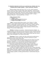 Graikų literatūros kurso klausimai 15 puslapis