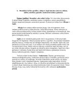 Graikų literatūros kurso klausimai 6 puslapis