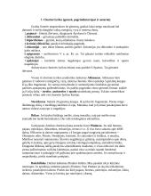 Graikų literatūros kurso klausimai 7 puslapis