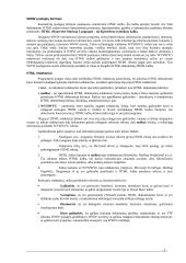 Hipertekstinės technologijos 2 puslapis