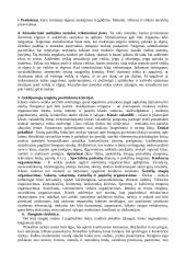 Hodegetikos teorija 2 puslapis