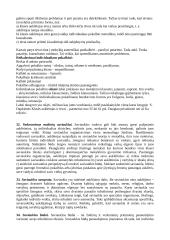 Hodegetikos teorija 11 puslapis