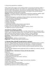 Hodegetikos teorija 4 puslapis