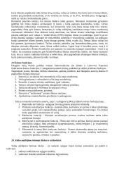 Hodegetikos teorija 7 puslapis