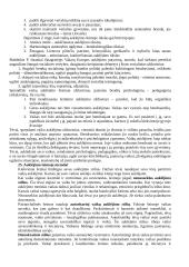 Hodegetikos teorija 8 puslapis