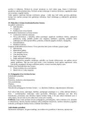 Hodegetikos teorija 10 puslapis