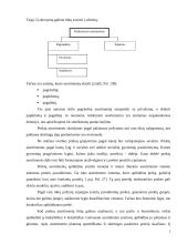 Įmonės asortimento analizė: AB "Gija" 2 puslapis
