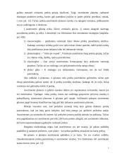 Įmonės asortimento analizė: AB "Gija" 3 puslapis