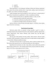 Įmonės asortimento analizė: AB "Gija" 4 puslapis