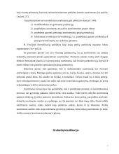 Įmonės asortimento analizė: AB "Gija" 7 puslapis
