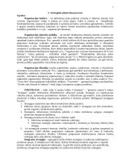 Įmonės strateginis planavimas 2 puslapis
