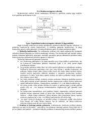 Įmonės strateginis planavimas 11 puslapis
