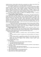 Įmonės strateginis planavimas 12 puslapis