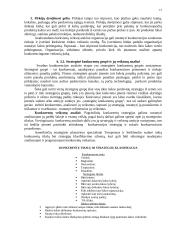 Įmonės strateginis planavimas 13 puslapis