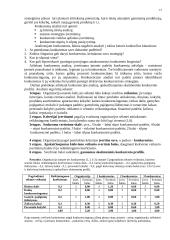 Įmonės strateginis planavimas 15 puslapis