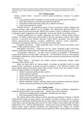 Įmonės strateginis planavimas 16 puslapis