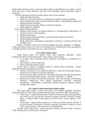 Įmonės strateginis planavimas 17 puslapis