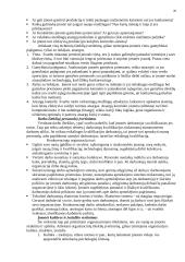 Įmonės strateginis planavimas 20 puslapis