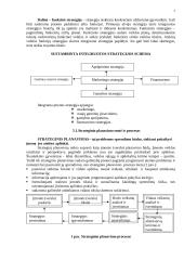 Įmonės strateginis planavimas 3 puslapis