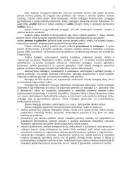 Įmonės strateginis planavimas 4 puslapis