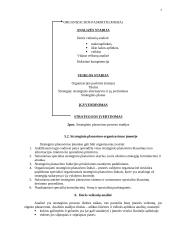 Įmonės strateginis planavimas 5 puslapis