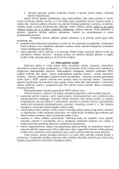 Įmonės strateginis planavimas 6 puslapis