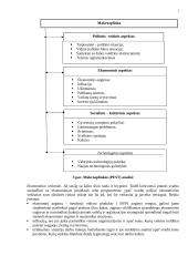 Įmonės strateginis planavimas 7 puslapis