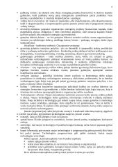 Įmonės strateginis planavimas 8 puslapis