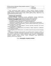 Įmonės strateginio valdymo analizė 11 puslapis