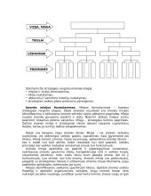 Įmonės strateginio valdymo analizė 12 puslapis