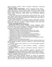Įmonės strateginio valdymo analizė 13 puslapis