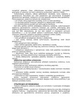 Įmonės strateginio valdymo analizė 14 puslapis