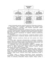 Įmonės strateginio valdymo analizė 16 puslapis