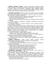 Įmonės strateginio valdymo analizė 4 puslapis