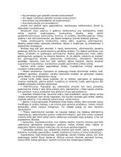 Įmonės strateginio valdymo analizė 5 puslapis