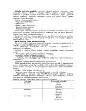 Įmonės strateginio valdymo analizė 6 puslapis