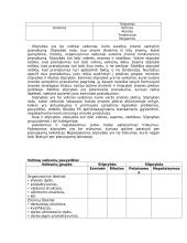 Įmonės strateginio valdymo analizė 7 puslapis