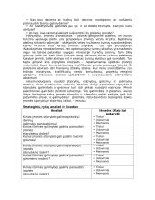 Įmonės strateginio valdymo analizė 10 puslapis