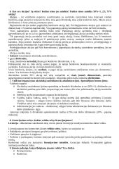 Įmonės ir įmonių finansai 3 puslapis