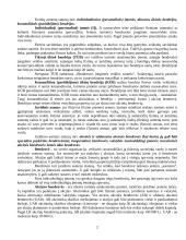 Įmonių organizacinės formos 2 puslapis