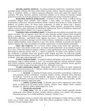 Įmonių organizacinės formos 3 puslapis