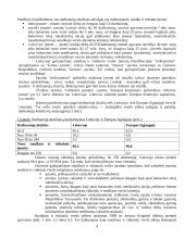 Įmonių organizacinės formos 4 puslapis