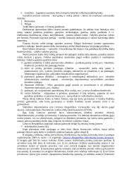 Įmonių valdymas ir organizavimas 2 puslapis