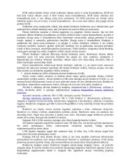 Įmonių valdymas ir organizavimas 4 puslapis