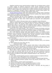 Įmonių valdymas ir organizavimas 5 puslapis